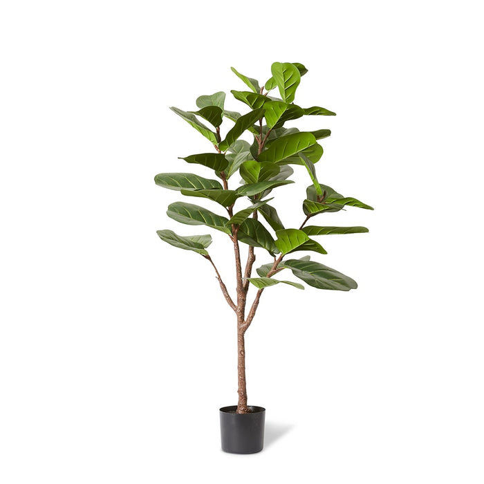 Fiddle Lush Tree - Green, 150cm (H)