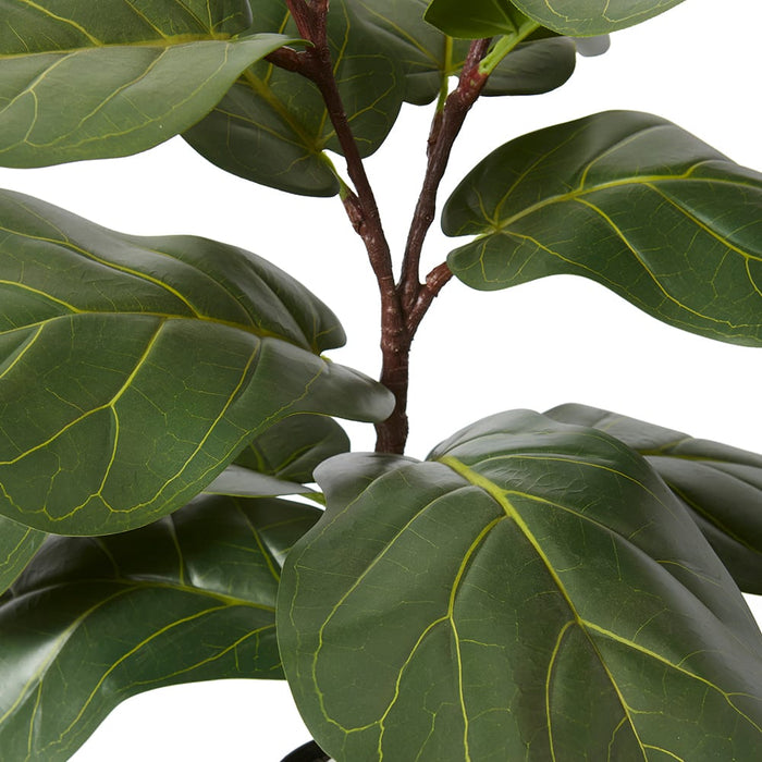 Fiddle Lush Tree - Green, 70cm (H)