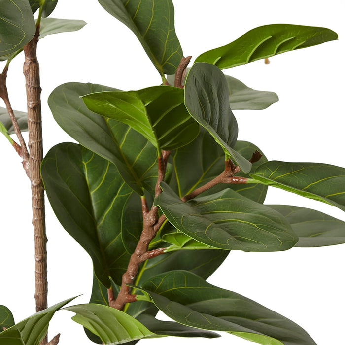 Fiddle Lush Tree - Green, 145cm (H)