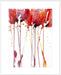 Tangerine Tango II Wall Art