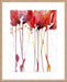 Tangerine Tango II Wall Art