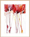 Tangerine Tango II Wall Art