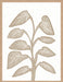 Tropical Abundance - Tawny Thrive Wall Art