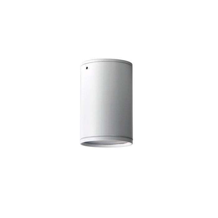 Entas White