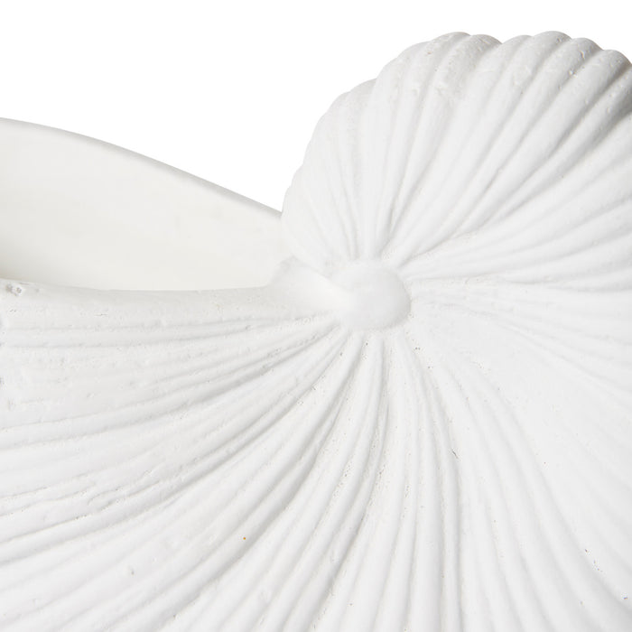 Conch Shell Pot - White, 15cm (H)