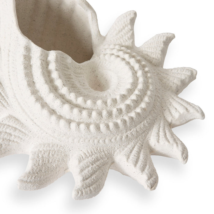 Star Shell - White, 15cm (H)