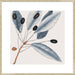 Vintage Blue Botanical III Wall Art