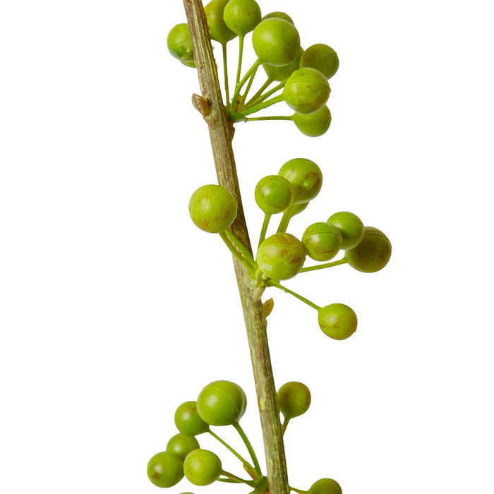 Berry Spray Pack of 12 - Green, 103cm (H)