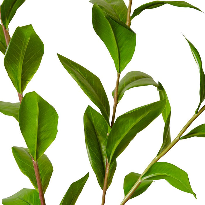 Laurel Leaf Spray Pack of 12 - Green, 140cm (H)
