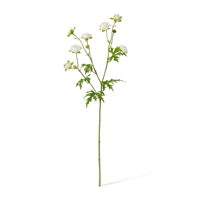 Ranunculus Spray Pack of 12 - White, 56cm (H)