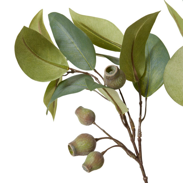 Eucalyptus Gum Nut Spray Pack of 12 - Green, 84cm (H)
