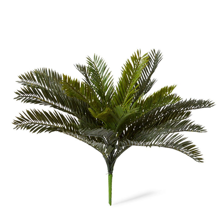 Cycas Bush Pack of 6 - Green, 43cm (H)