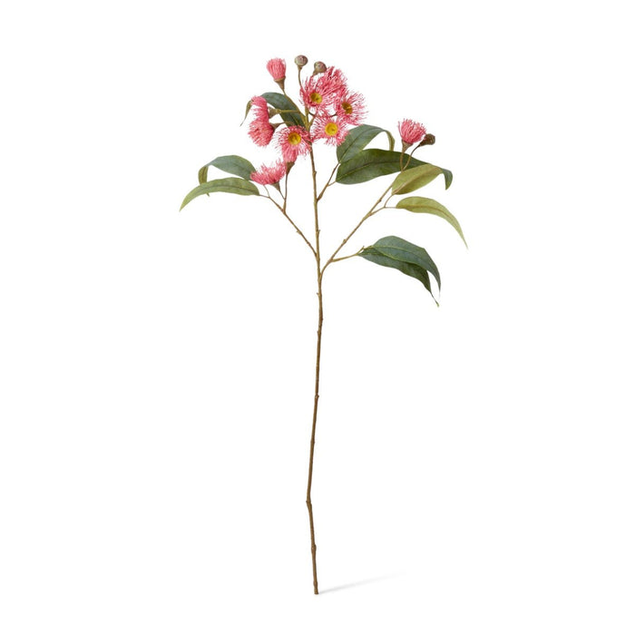 Eucalyptus Flowering Spray Pack of 12 - Soft Pink, 76cm (H)