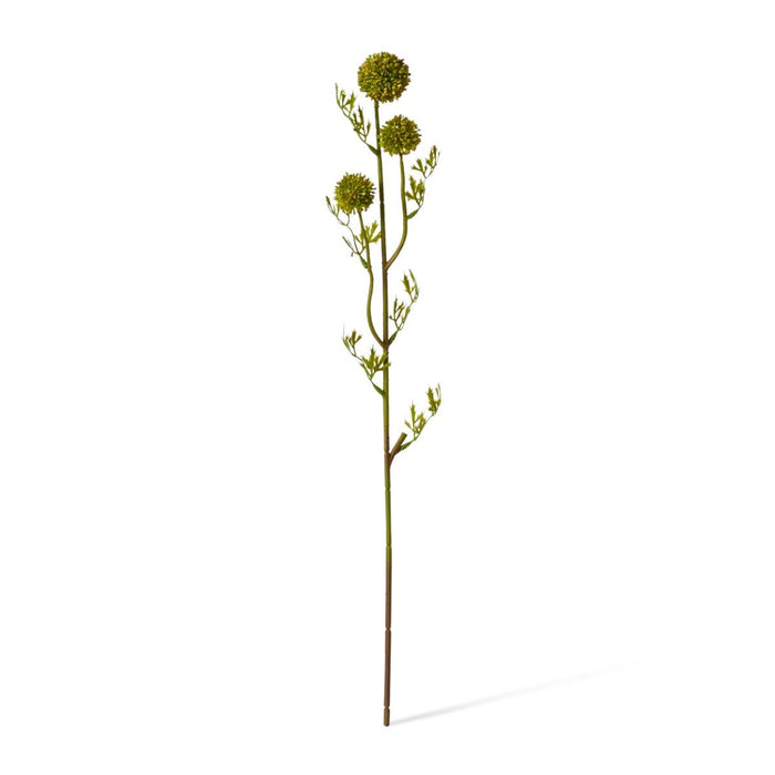 Pom Pom Seeding Spray Pack of 12 - Green, 61cm (H)