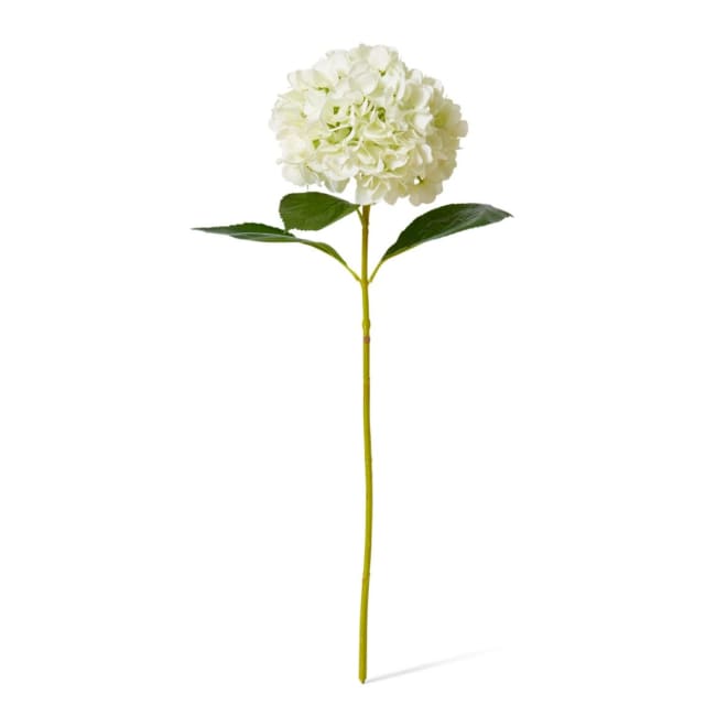 Hydrangea Grand Stem Pack Of 12 - White, 69cm (H)