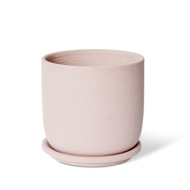 Allegra Pot w Saucer - Pink, 15cm (H)