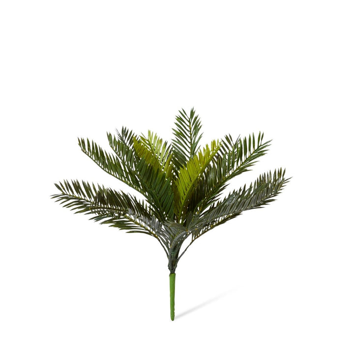 Cycas Bush Pack of 12 - Green, 36cm (H)