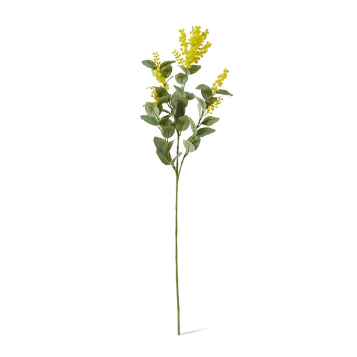 Wattle Spray Pack of 12 - Yellow, 85cm (H)