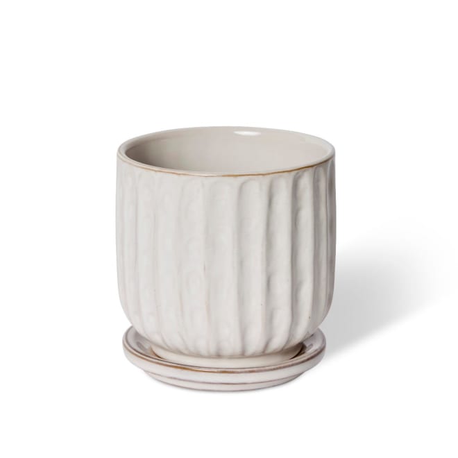 Lara Pot w Saucer - Cream, 13cm (H)