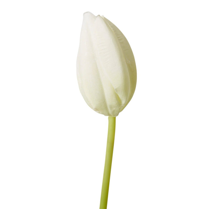 Tulip Stem Pack of 12 - White, 74cm (H)