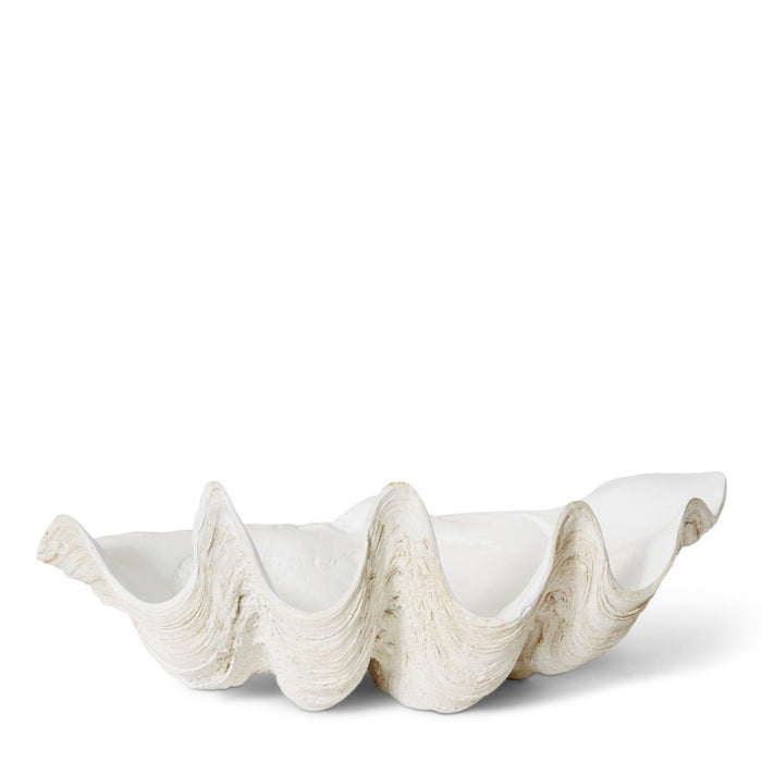 Clam Shell Large Sculpture - Off White, 19cm (H)