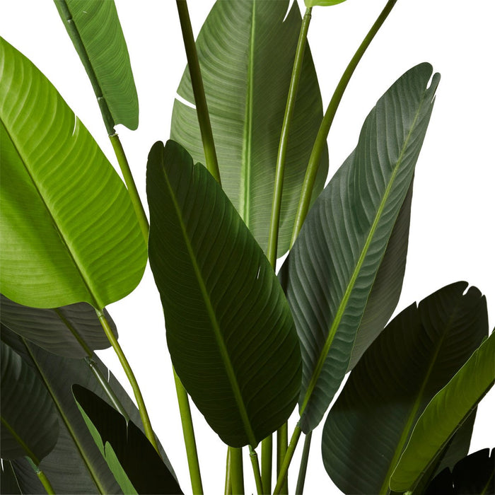 Bird of Paradise - Green, 244cm (H)