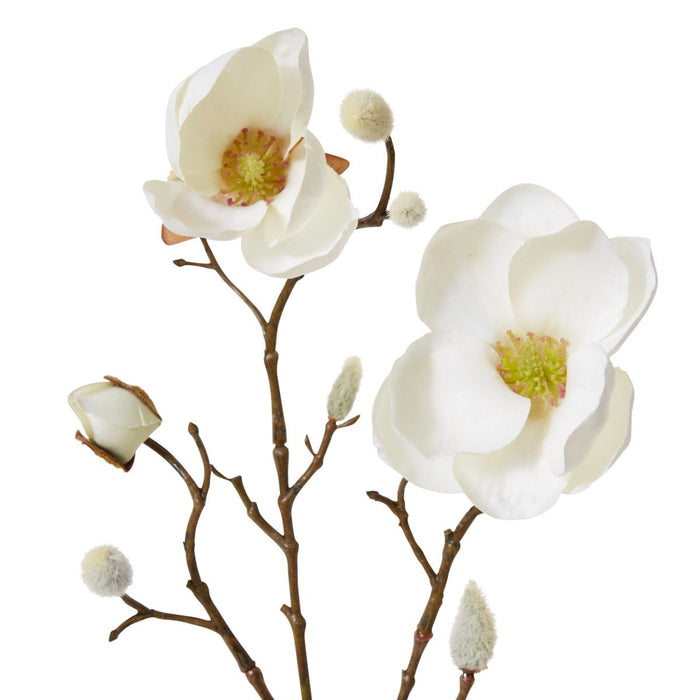 Magnolia Spray Pack of 12 - White, 53cm (H)