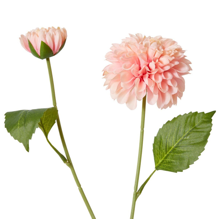 Dahlia Pom Pom Spray Pack of 12 - Pink, 72cm (H)