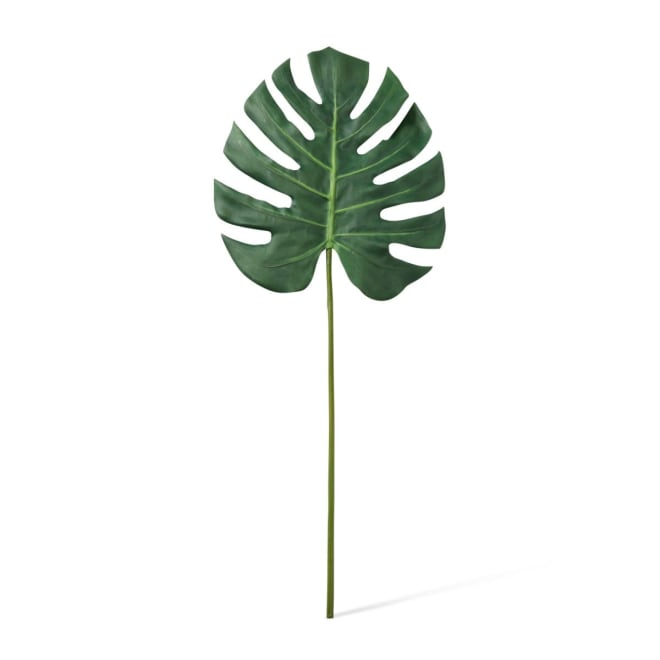 Monstera Lush Stem Pack Of 12 - Green, 78cm (H)