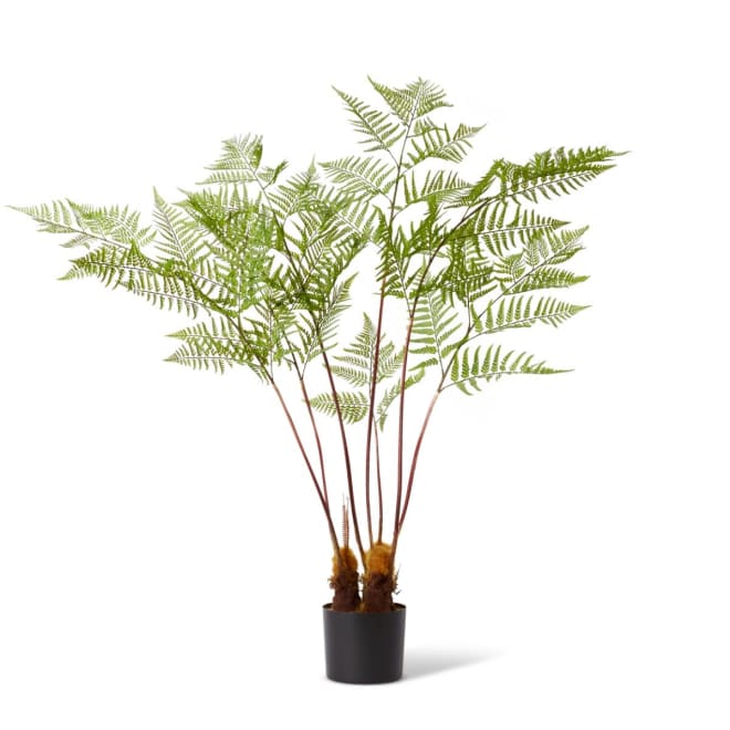 Fern Woodland Potted - Green, 157cm (H)