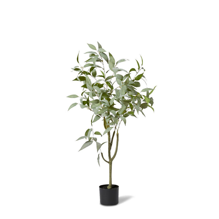 Gum Tree - Grey Green, 120cm (H)
