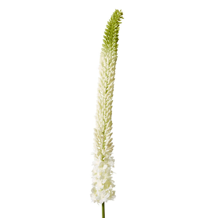 Foxtail Lily Stem Pack of 12 - Green White, 112cm (H)