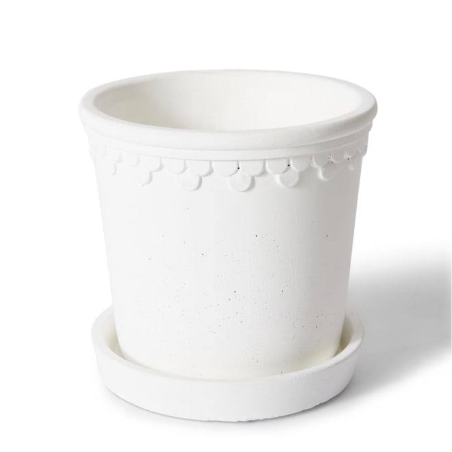 Sophia Pot w Saucer - White, 14cm (H)
