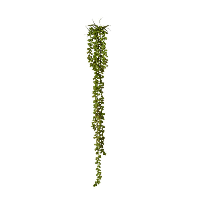 String of Pearls Hanging Plan Pack of 12 - Green, 71cm (H)