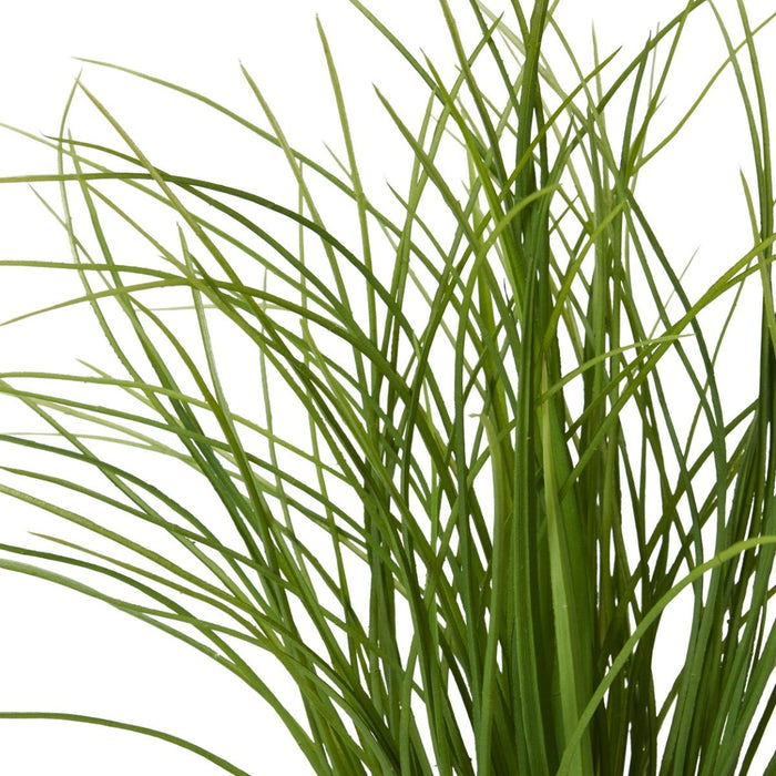 Grass Tussock Plant Pack Of 12 - Green, 65cm (H)