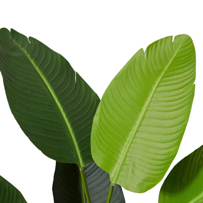 Bird of Paradise - Green, 122cm (H)