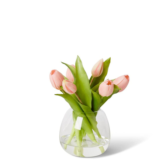 Tulip Petite Pink - Pink/Clear, 25cm (H)