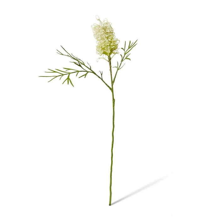 Grevillia Flower Sm Stem Pack of 12 - White, 76cm (H)