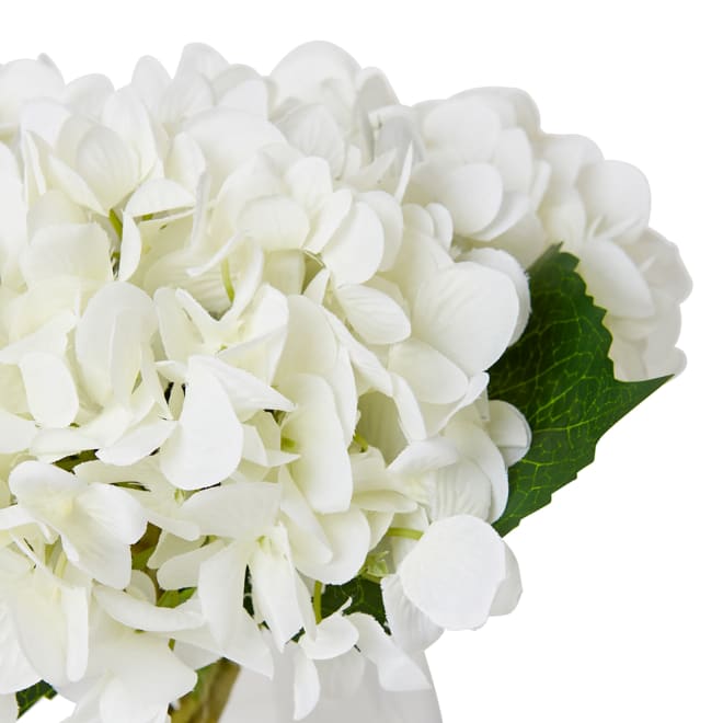 Hydrangea - Alma Vase - White, 25cm (H)