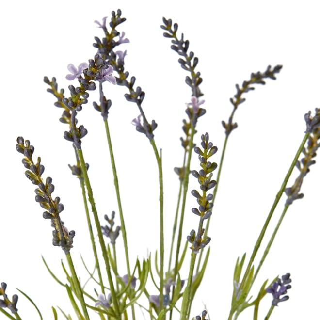 Lavender Bundle-Garden Pot - Pruple/Green, 45cm (H)