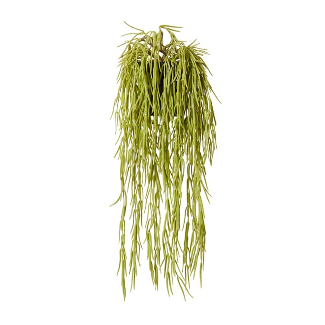 Wax Vine Hanging-Garden Pot - Grey/Green, 17cm (H)