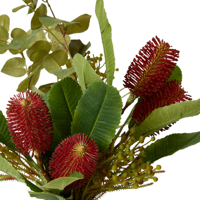 Banksia & Berzelia - Specimen Bottle - Red/Green, 59cm (H)
