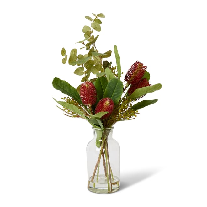 Banksia & Berzelia - Specimen Bottle - Red/Green, 59cm (H)
