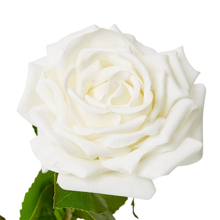 Rose Garden Stem - Harnan Vase - White, 32cm (H)
