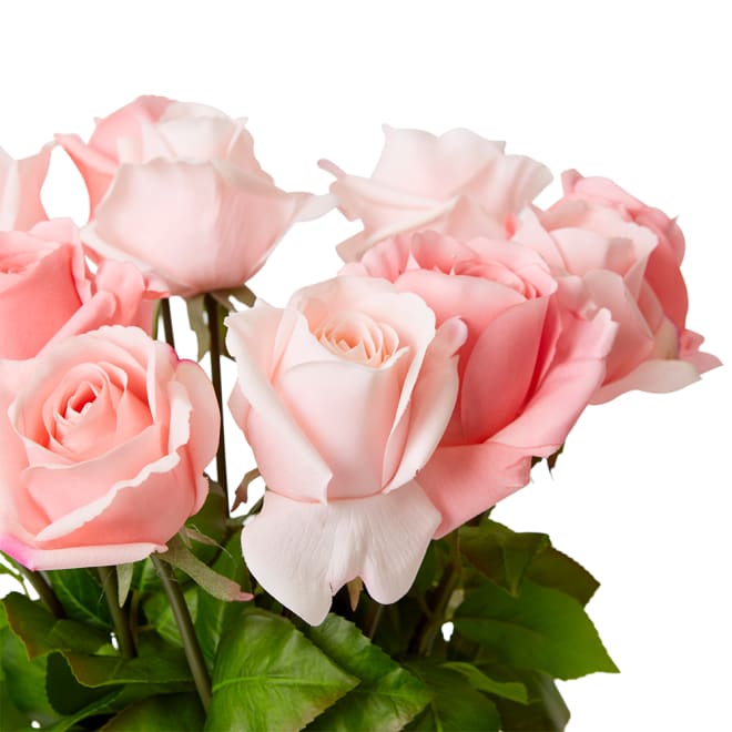 Rose Classic - Vera Vase - Pink, 48cm (H)