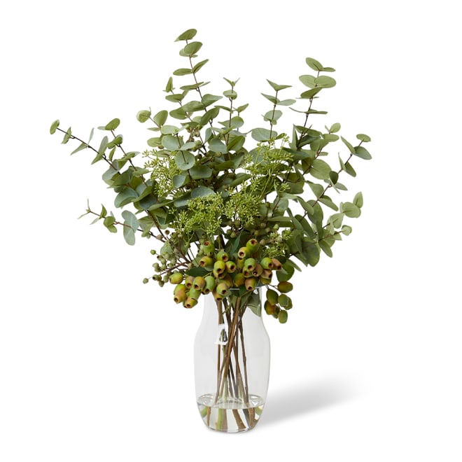 Eucalyptus Dollar Seeding Spray - Green, 88cm (H)