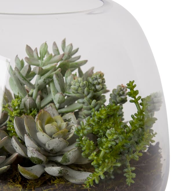 Bell Sedum Succulent Mix - Alma Vase - Green, 22cm (H)