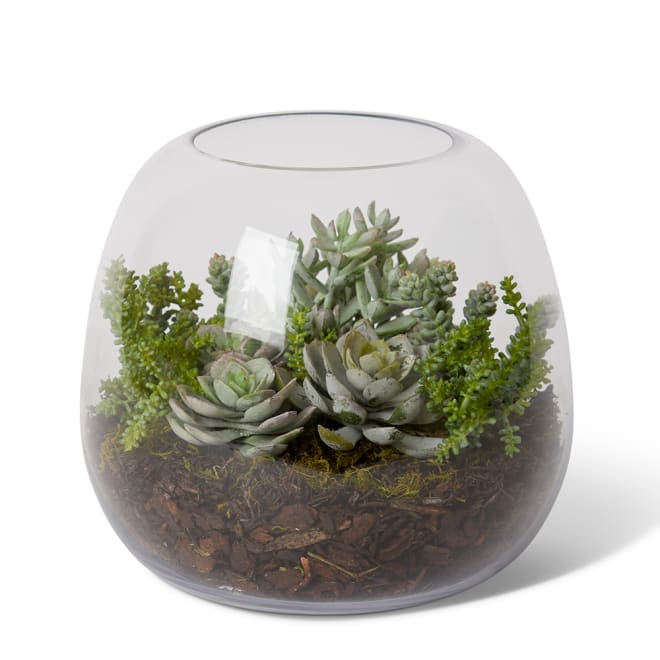 Bell Sedum Succulent Mix - Alma Vase - Green, 22cm (H)