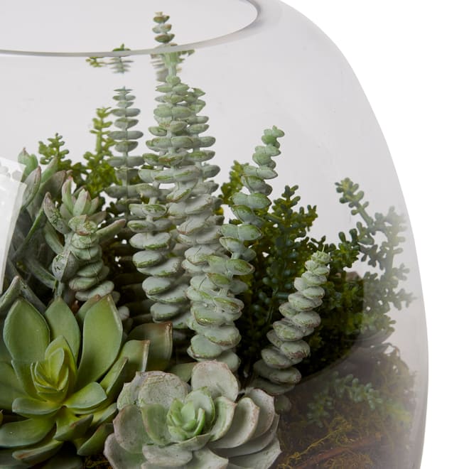 Bell Sedum Succulent Mix - Alma Vase - Green, 27cm (H)