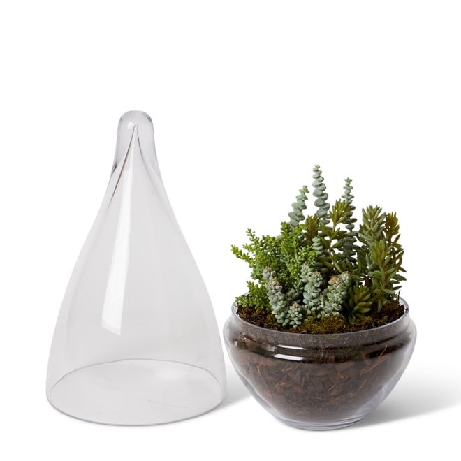 String of Buttons Sedum Mix - Tessa Terrarium - Green, 44cm (H)
